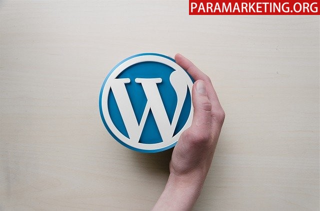 A hand holding a WordPress logo, representing must have wp plugins for 2020