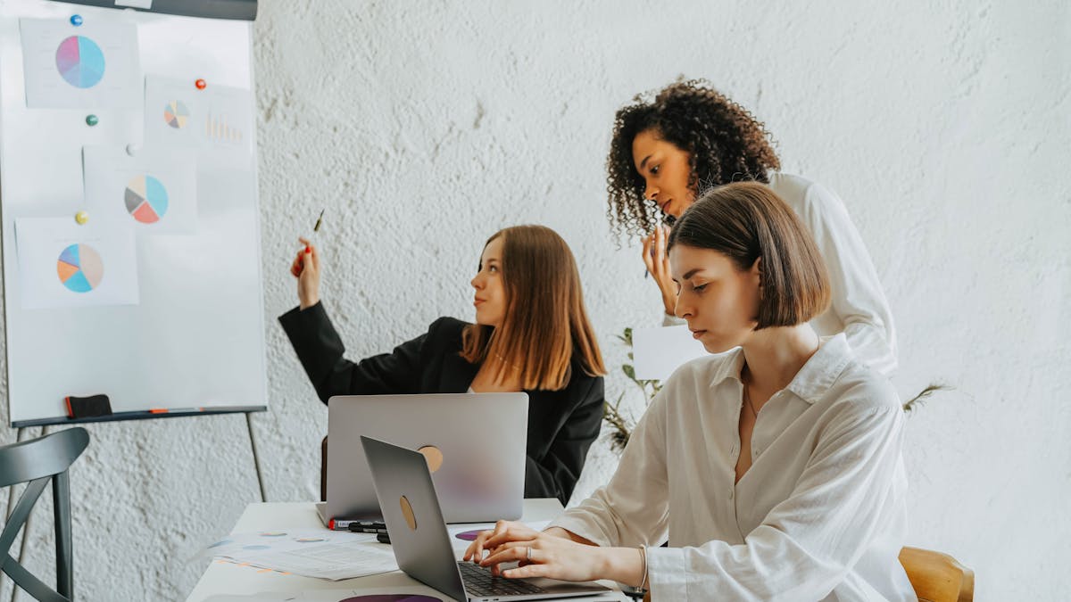 SEO Company Springfield: How To Choose The Right Partner For Local Growth 1 SEO Company Springfield